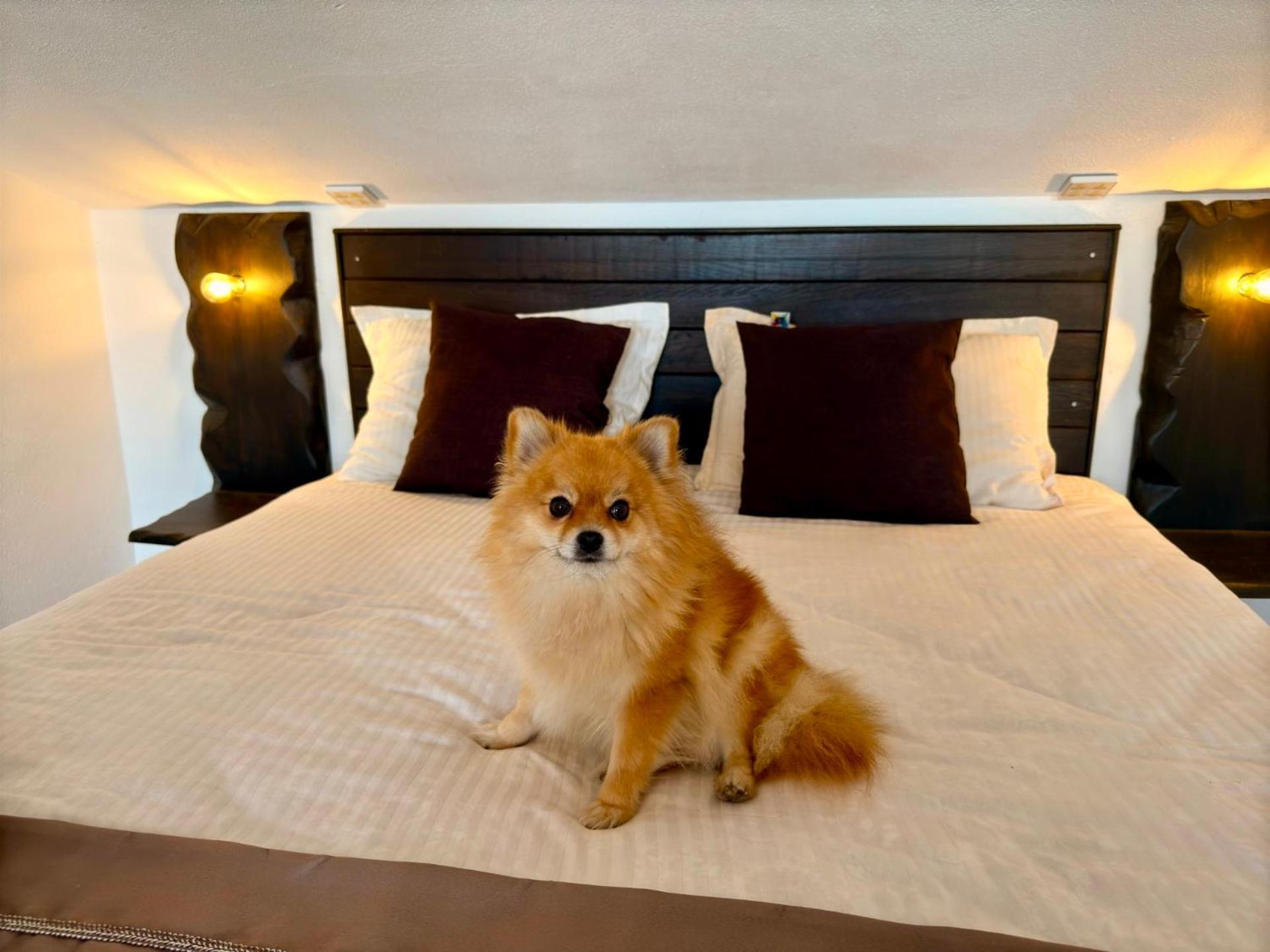 Arthotel Oscar I โซโซโปล ภายนอก รูปภาพ